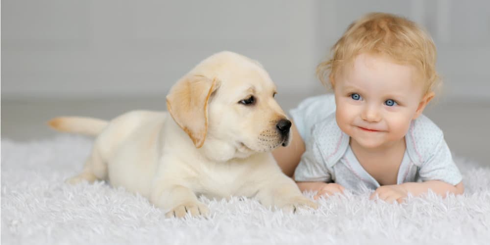 Çocuklu Evlerde Halı Hijyeni: Ebeveynlerin Bilmesi Gerekenler — kapak görseli