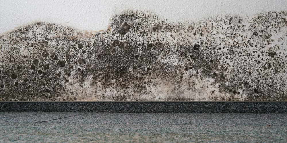 Yazlık Açılışında Halı Yıkama: Sezon Başı Rehberi — kapak görseli